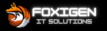 Foxigen IT Solutions - MLM Software Development Company in Dombivli
